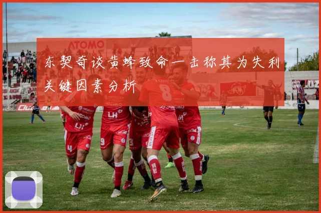 东契奇谈黄蜂致命一击称其为失利关键因素分析