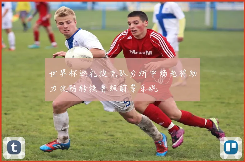 世界杯巡礼捷克队分析中场老将助力攻防转换晋级前景乐观