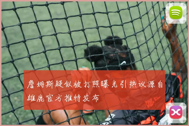 詹姆斯疑似被打照曝光引热议源自雄鹿官方推特发布