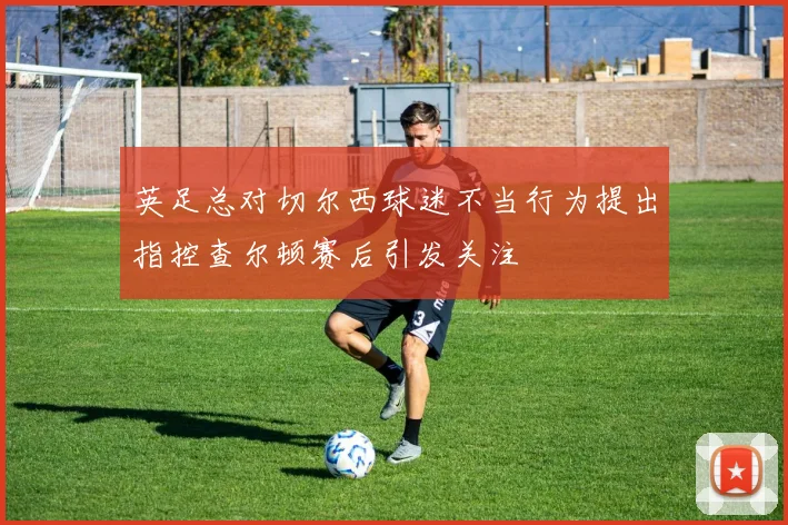英足总对切尔西球迷不当行为提出指控查尔顿赛后引发关注