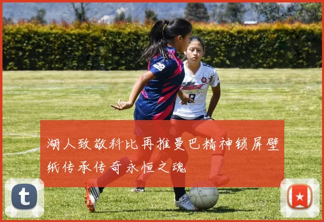 湖人致敬科比再推曼巴精神锁屏壁纸传承传奇永恒之魂